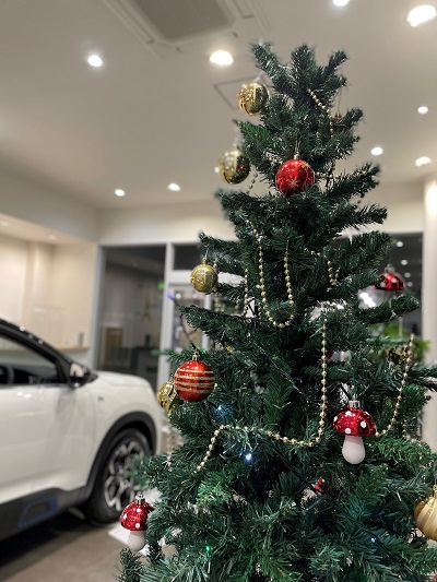クリスマスツリーを飾りました★
