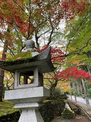 明日は営業日となります