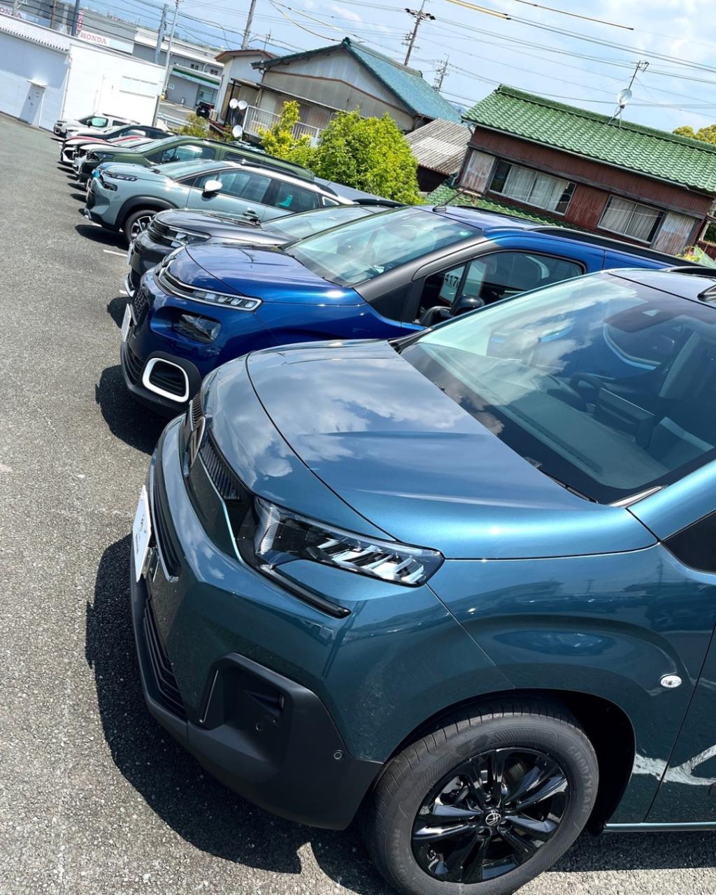 認定中古車の洗車日和です