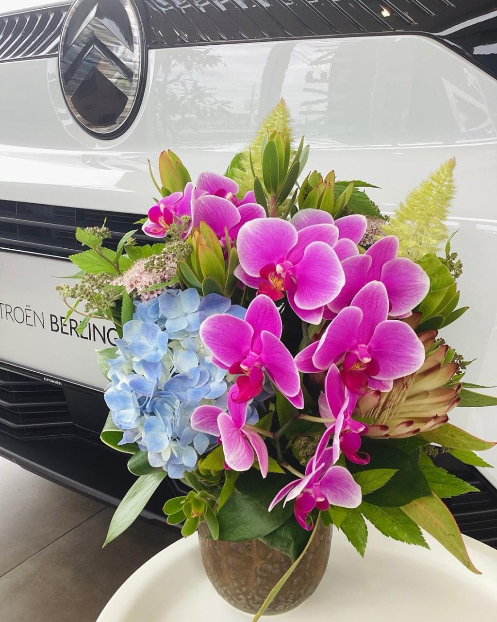 ショールームのお花のご紹介