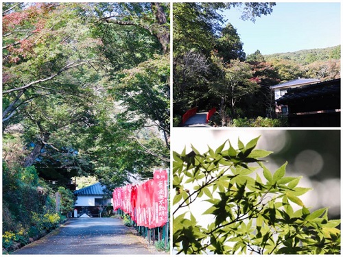 もみじ寺★