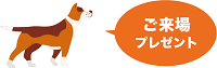 LIFE WITH PETS CAMPAIGN